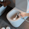 Bidet Sprayer for Toilet