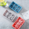 Ice Tray 6 Grid