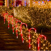 LED Christmas Candy Cane Light