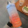 Gradient Color Large Capacity Frosted Cup Straw