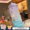 Gradient Color Large Capacity Frosted Cup Straw